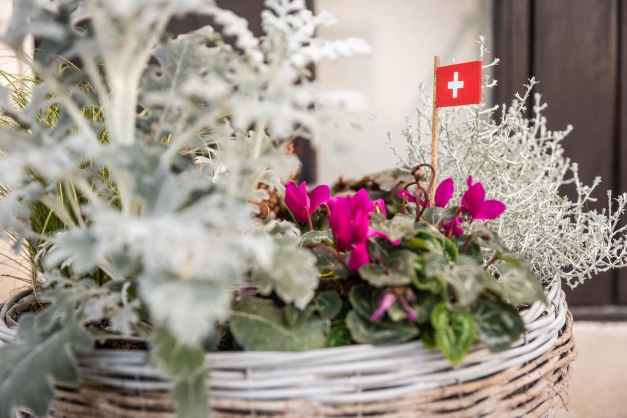 Bed and Breakfast Mybednbreakfast In Bottmingen Exteriér fotografie